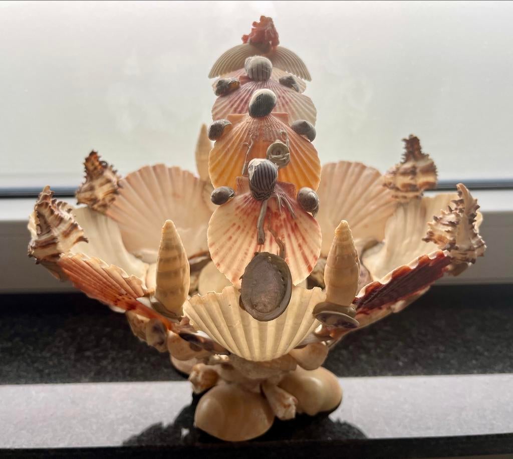 Beker met zeeschelp, Ophalen of Verzenden