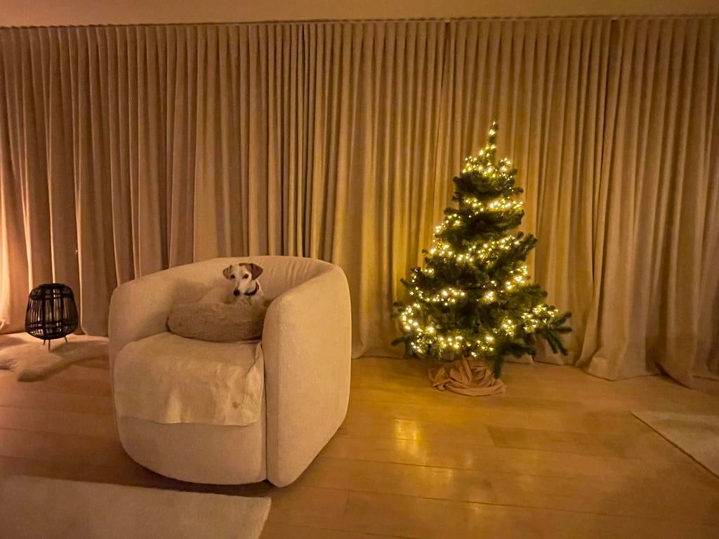 Petsitter Hondenopvang, Ophalen