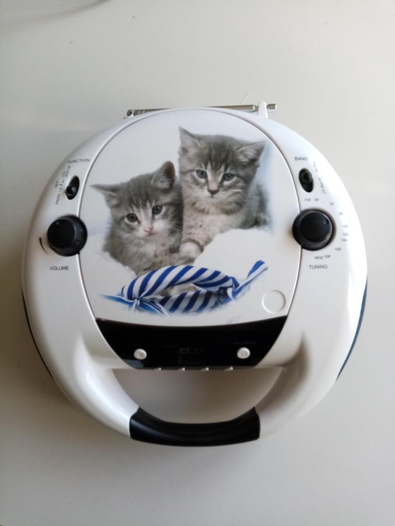 Radio CD speler, Enlèvement, Comme neuf, Autres types