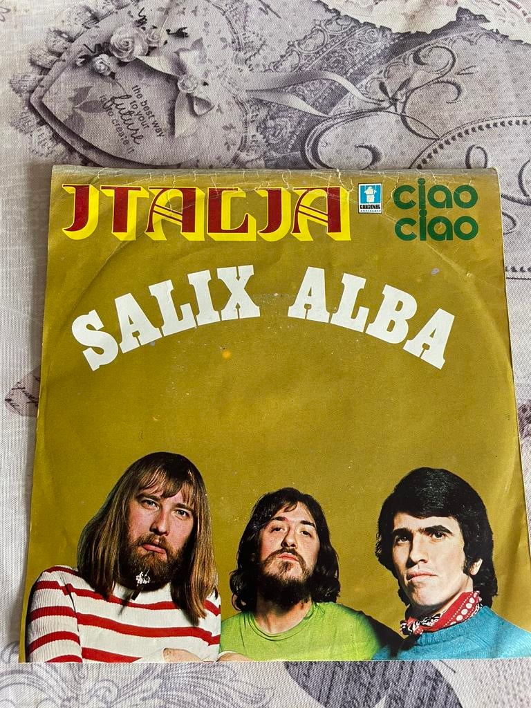 Salix alba -italia / ciao ciao, Enlèvement ou Envoi