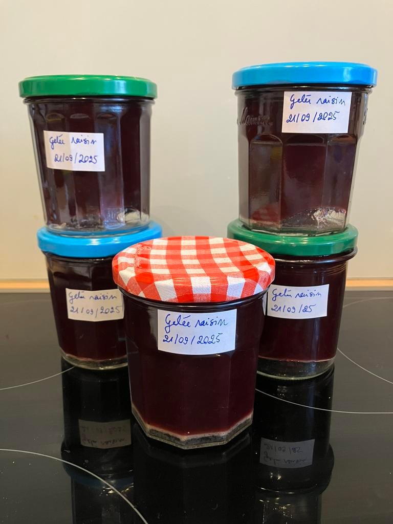 Gelée de raisin rouge (non traité) faite maison, Divers, Produits alimentaires, Enlèvement