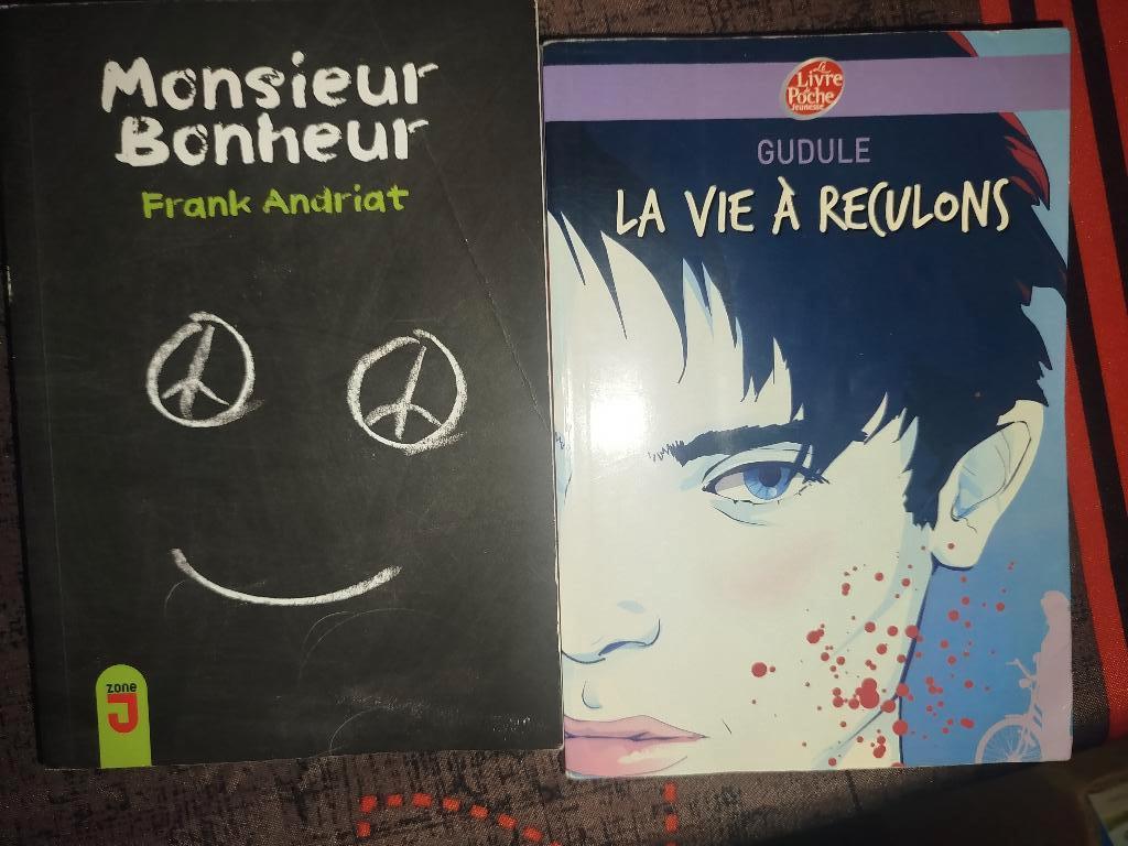 Livre scolaire, Ophalen of Verzenden, Zo goed als nieuw, Geschiedenis