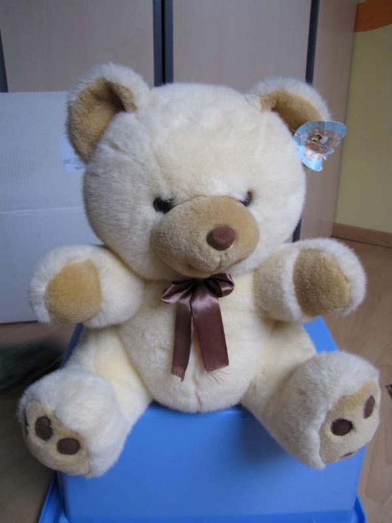 Pluche beer, Ophalen of Verzenden, Zo goed als nieuw, Beer