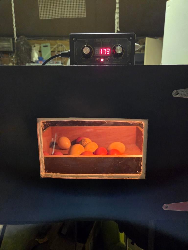 Herstellen broedmachines, Dieren en Toebehoren, Pluimvee