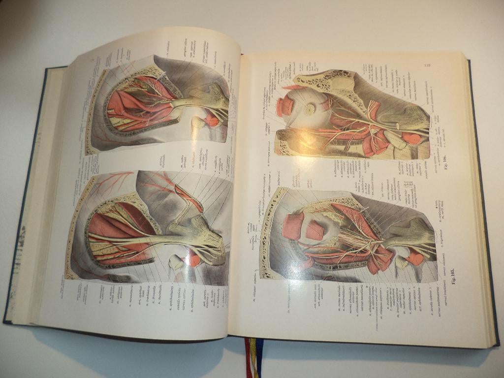Anatomie Atlas Sobotta-Becher 1962 anatomische platen, Boeken, Ophalen of Verzenden