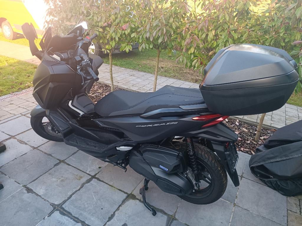 Honda Forza 350, Motoren, Motoren | Honda, Particulier, 350 cc