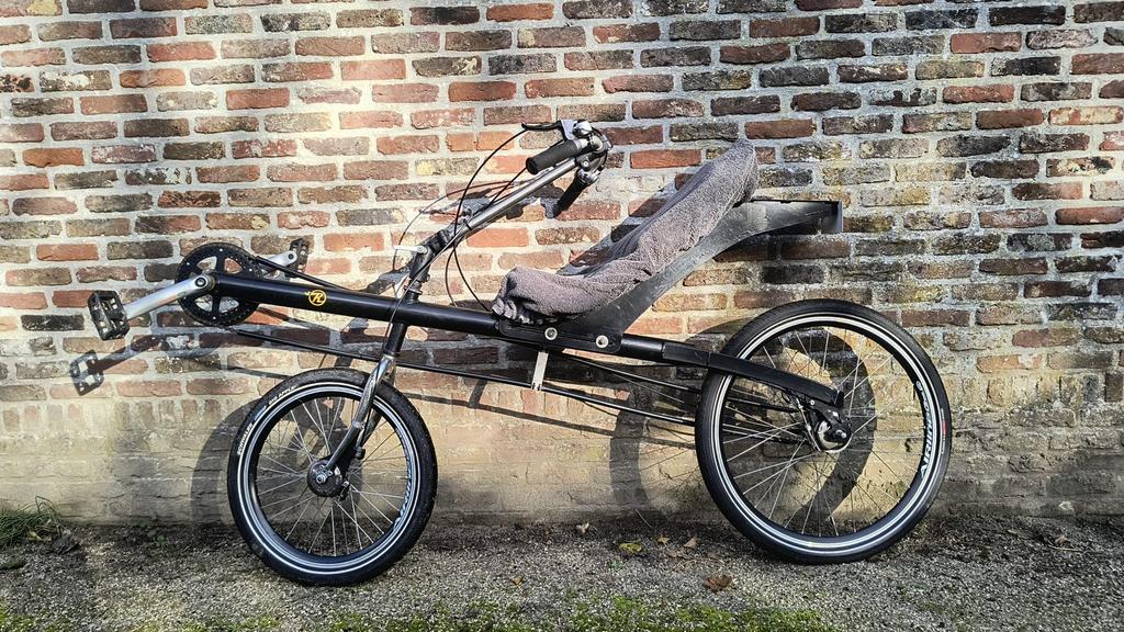 Ligfiets Tim Biesemans, Fietsen en Brommers, Fietsen | Ligfietsen, Ophalen