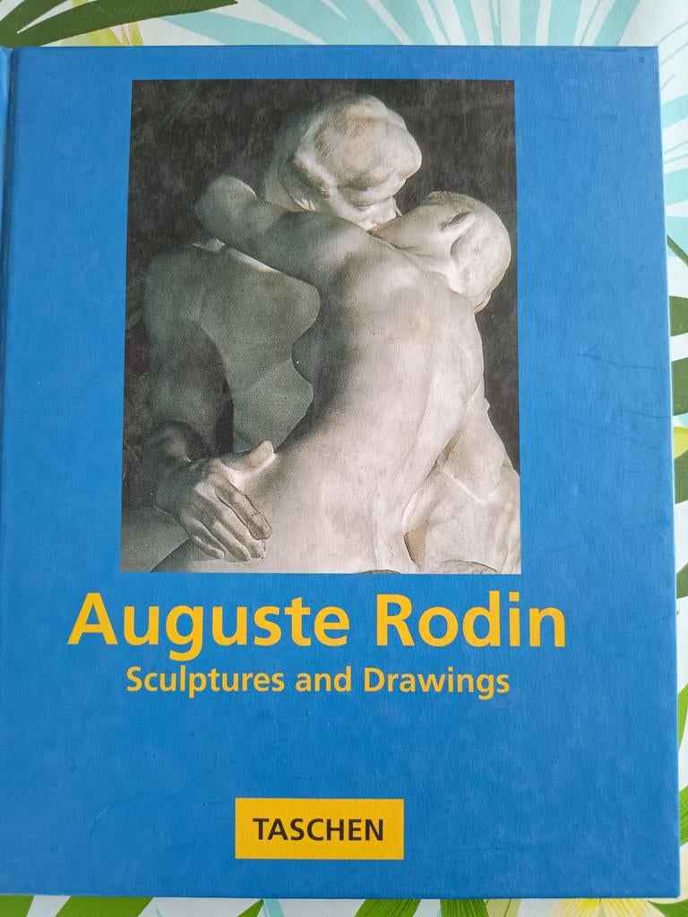 Kunstboeken over beeldhouwkunst (15 stuks), Ophalen, Beeldhouwkunst