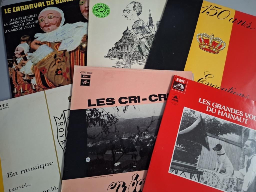 Lot Belgique 66 x Lp's +  3 x Boxset + 6 x 10" Vinyl, Enlèvement ou Envoi, Utilisé, 12 pouces, Européenne