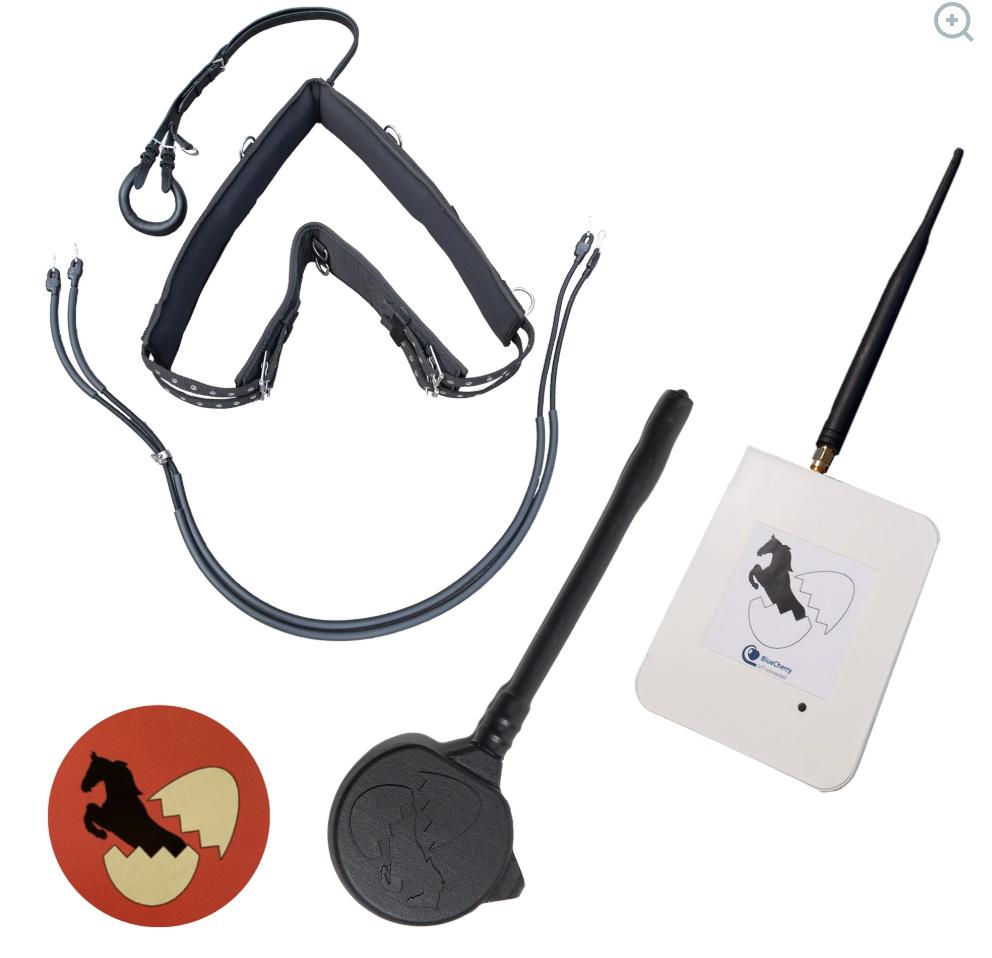 Veulen alarm te koop, Dieren en Toebehoren, Ophalen of Verzenden, Zo goed als nieuw, Overige soorten