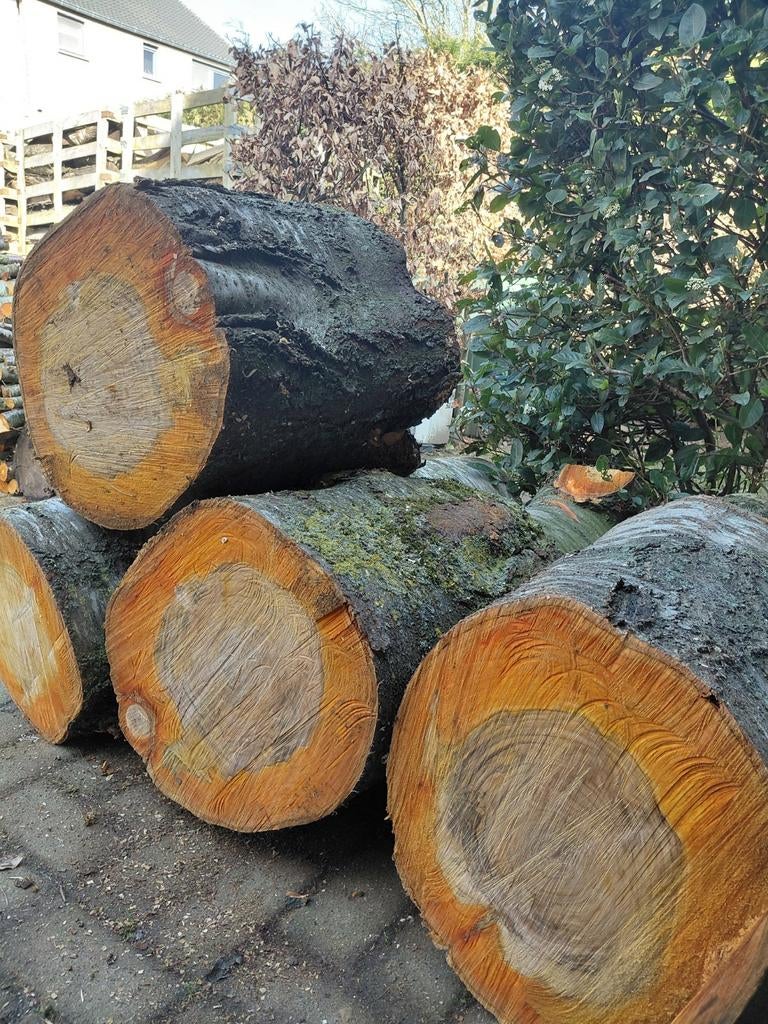 Bloc de tronc de chêne ou de cerisier, Enlèvement ou Envoi