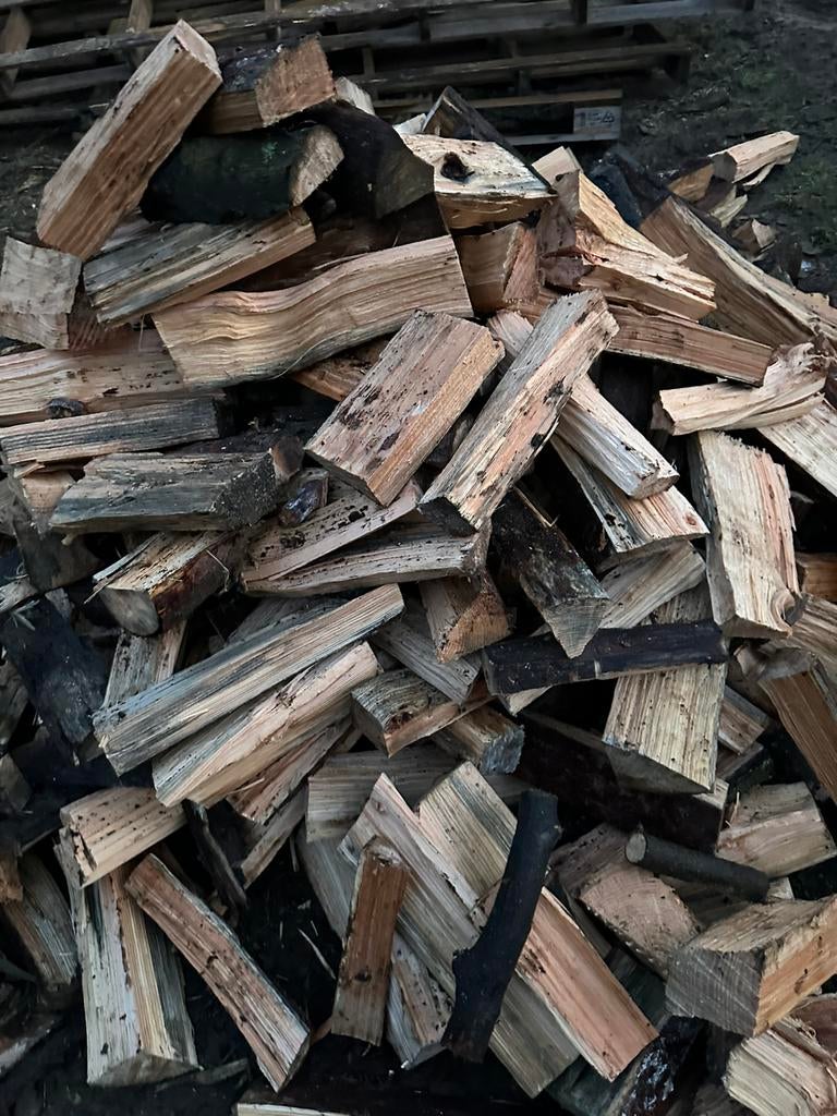 Bois de chauffage : pin, Bricolage & Construction, Enlèvement