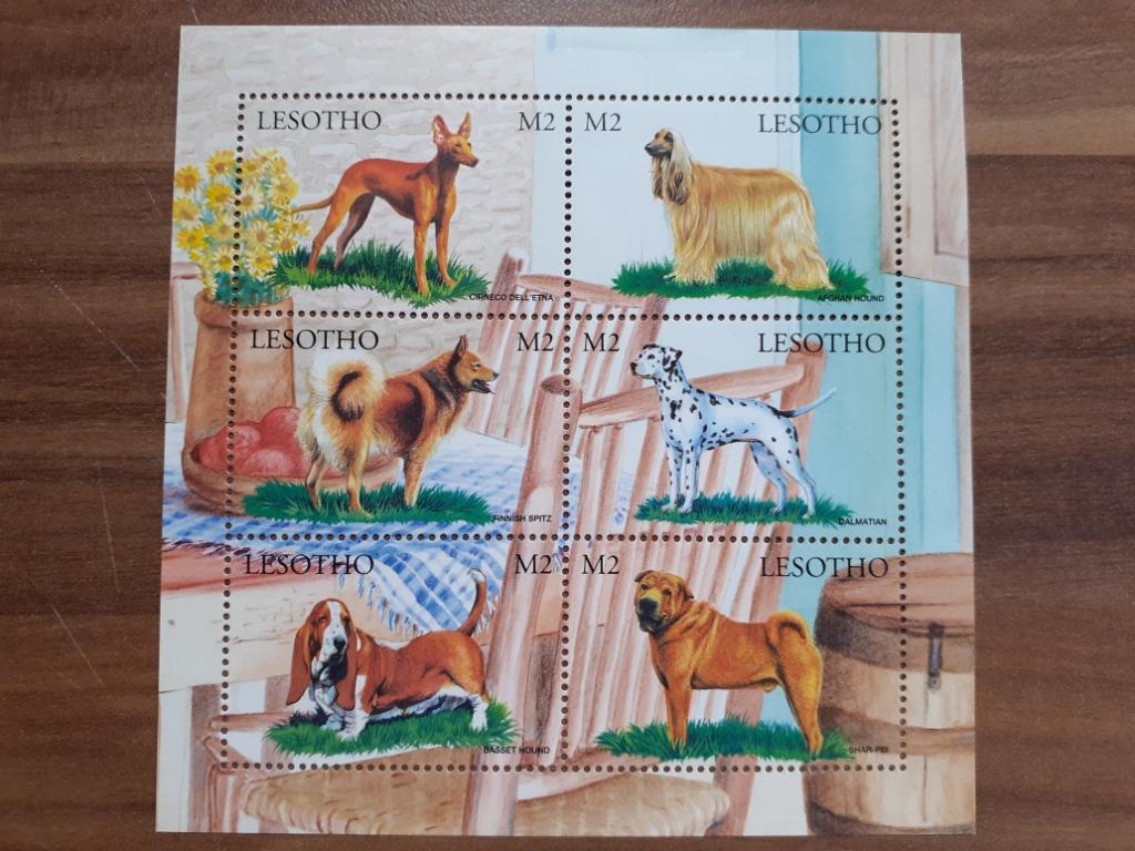6 timbres du LESOTHO avec des chiens lévriers, Enlèvement ou Envoi, Non oblitéré, Animal et Nature