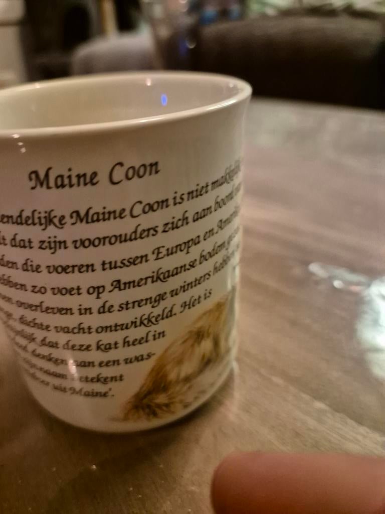 Tas mok kat Maine coon, Verzenden