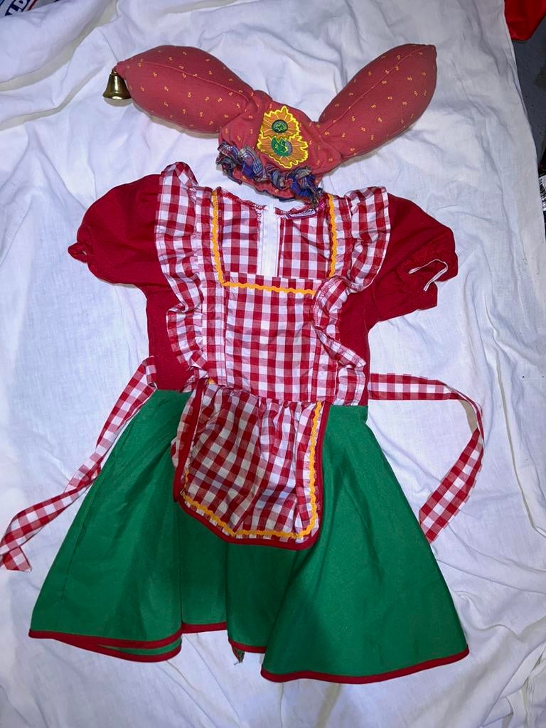 Kabouter jurk met kwebbel plop muts 6 jaar, Kinderen en Baby's, Ophalen of Verzenden, Gebruikt, 110 t/m 116, Meisje