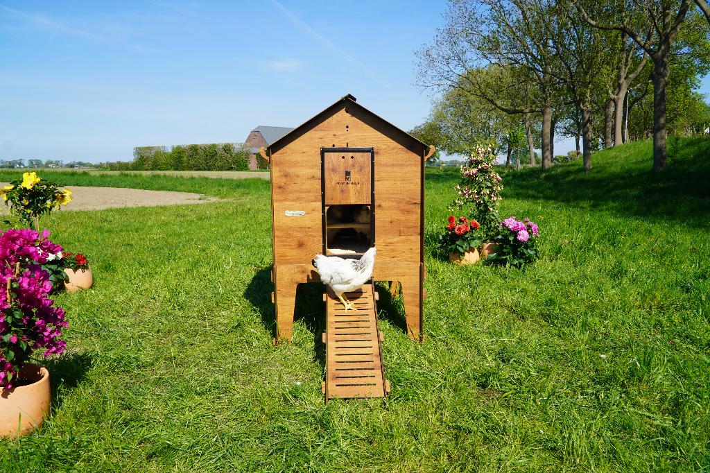 Trespa Kippenhok Cucciolotta Classic 2XL | Op Pootjes, Enlèvement ou Envoi, Neuf, Poulailler