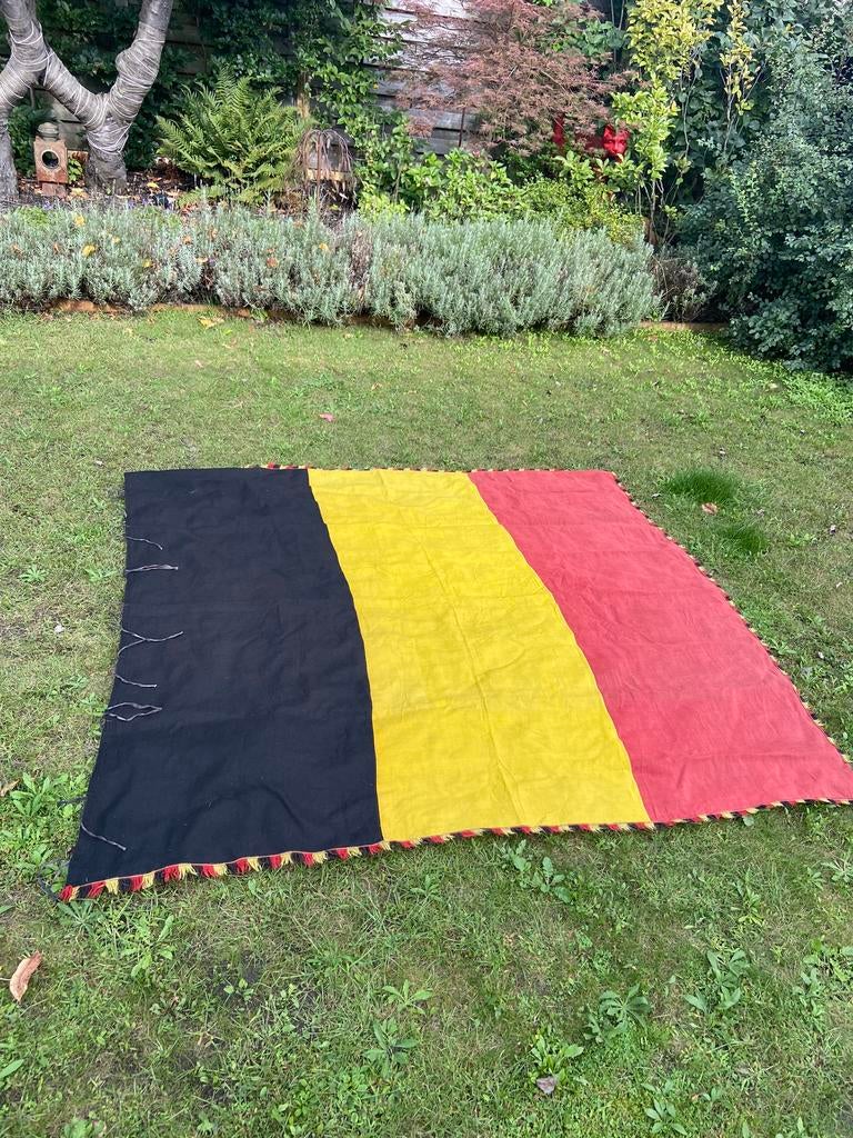 Grote Belgische vlag – ceremoniële uitvoering, Enlèvement ou Envoi, Utilisé