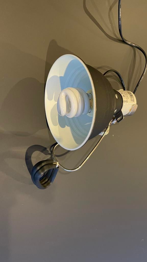 Lamp voor reptielen/schildpad met klem, Ophalen of Verzenden, Zo goed als nieuw