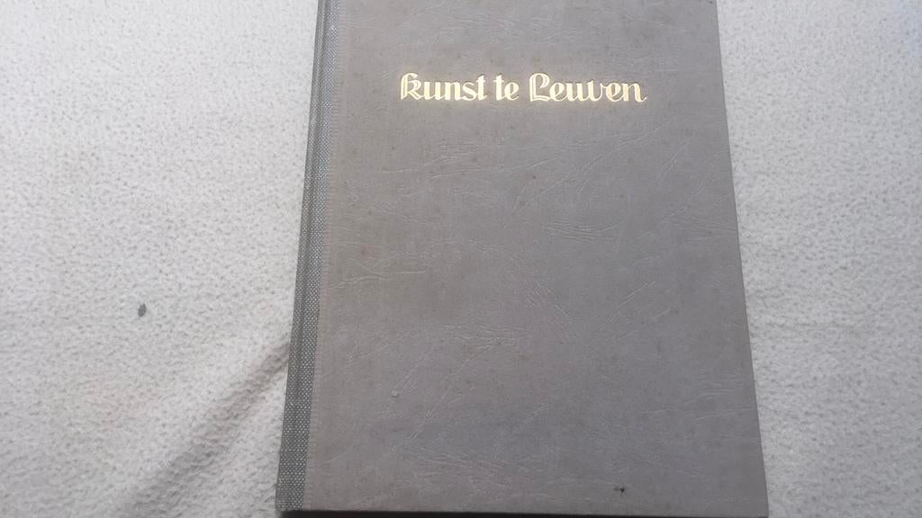 Kunst te Leuven, Enlèvement