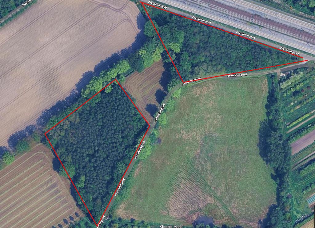 bos 1.78 ha - Beuk, eik, berk, Aalter, Ventes sans courtier, 1500 m² ou plus