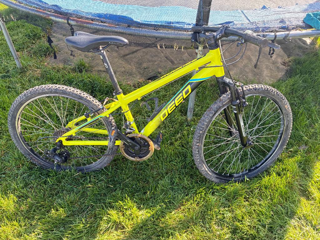 Vélo enfant, Vélos & Vélomoteurs, Enlèvement, Utilisé, 20 pouces ou plus, Rookie