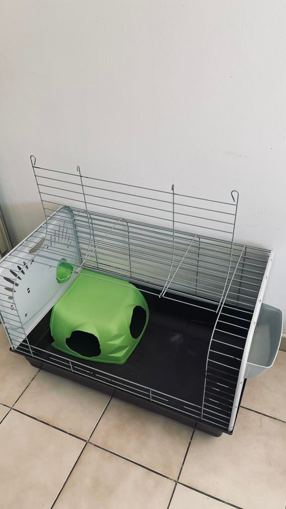 Cage à cochons d’inde avec accesoires (voir description), Animaux & Accessoires, Moins de 60 cm, Cage, Enlèvement, Utilisé