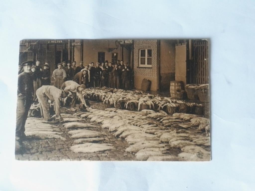 OSTENDE 1907. OSTENDE LE MARCHÉ AUX POISSONS, Envoi, Avant 1920, Affranchie, Flandre Occidentale