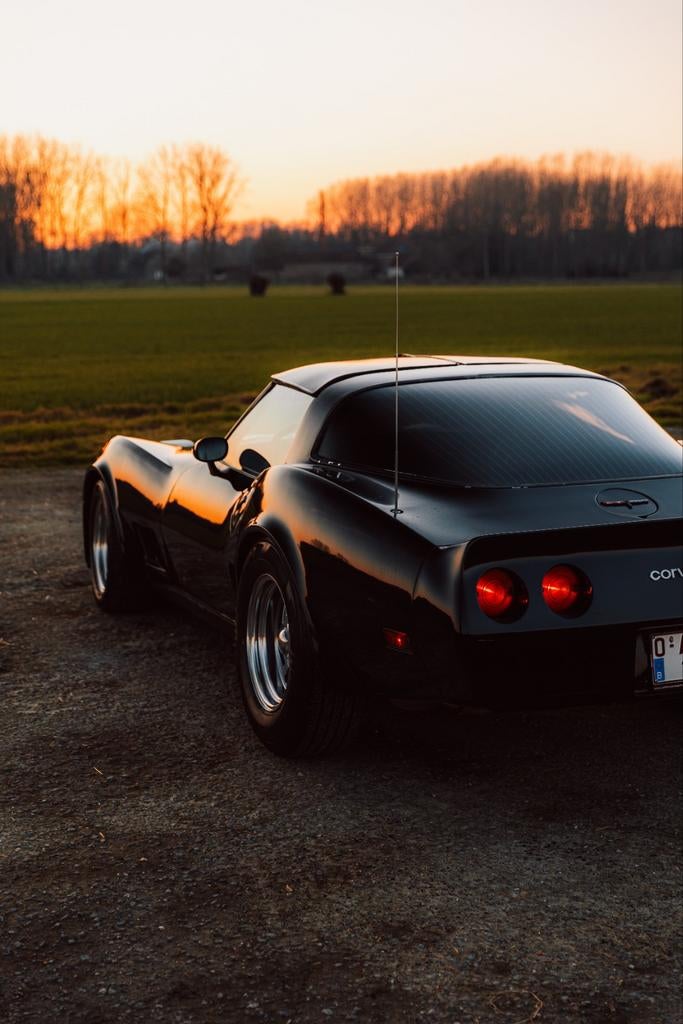 Corvette V8, Autos, Chevrolet, Cuir, Achat, 2 places, Noir