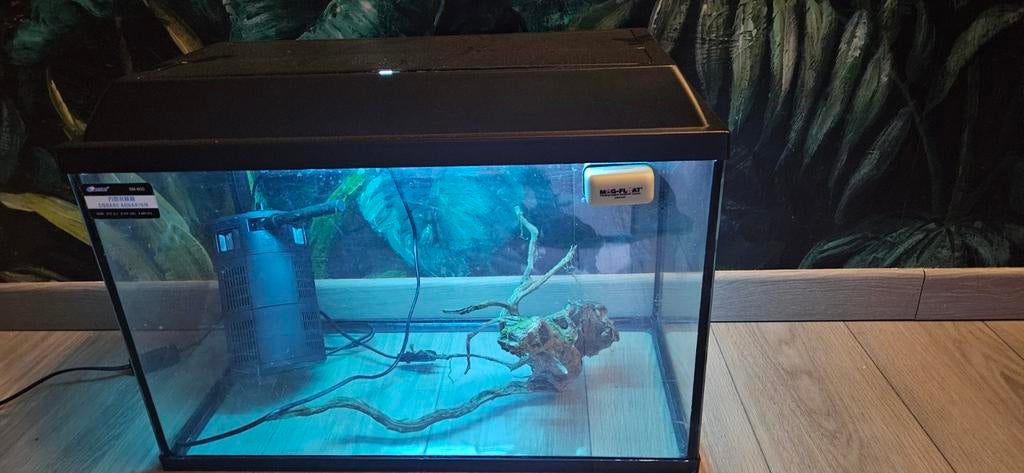 Aquarium, pompe et souche