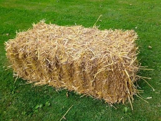 Tarwestro in kleine balen, Dieren en Toebehoren, Ophalen