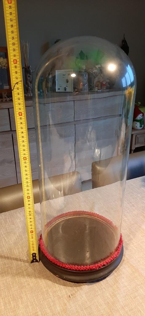 Glazen stolp, Antiek en Kunst, Ophalen