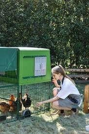 de ei-chalet kippenhok kunststof, Enlèvement