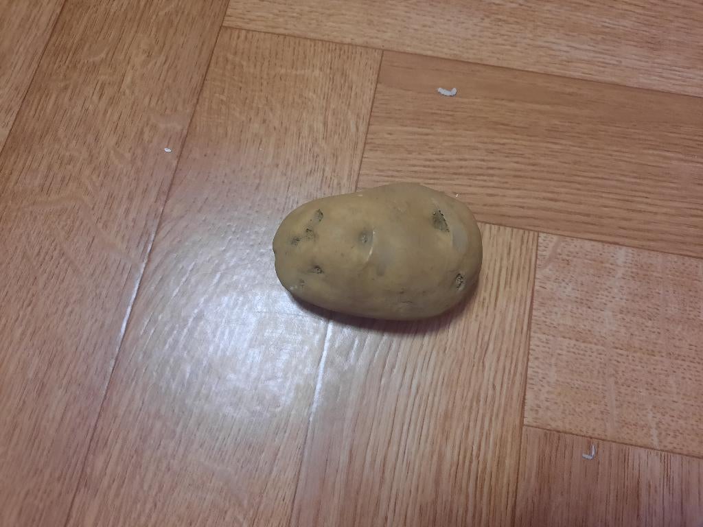 nieuwe aardappel borstel, Ophalen of Verzenden, Nieuw