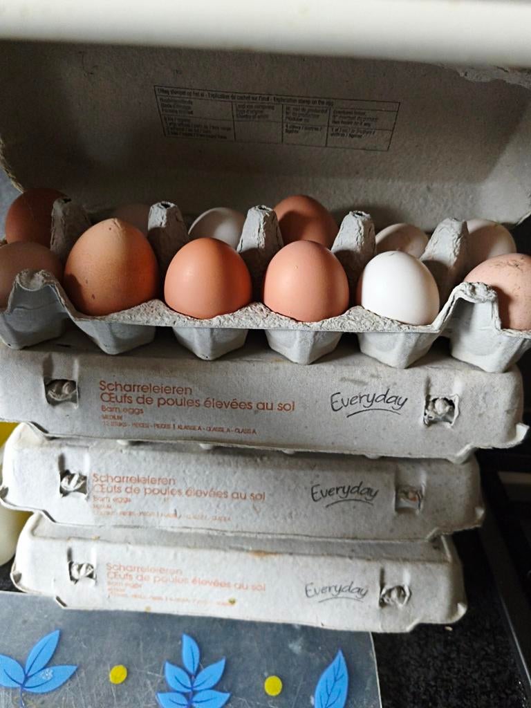 Verse eieren, Dieren en Toebehoren, Ophalen