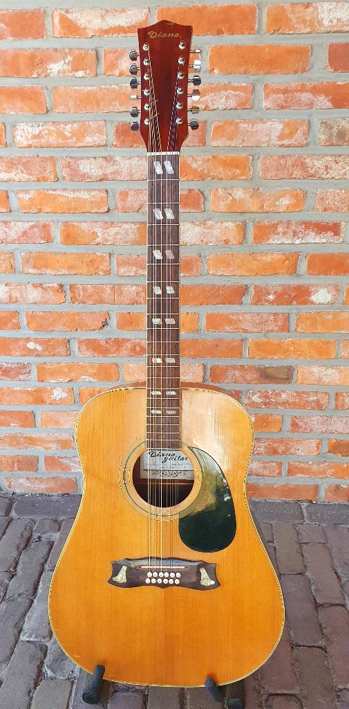 12-string gitaar, Muziek en Instrumenten, Snaarinstrumenten | Gitaren | Akoestisch, Ophalen, Gebruikt, Western- of Steelstringgitaar