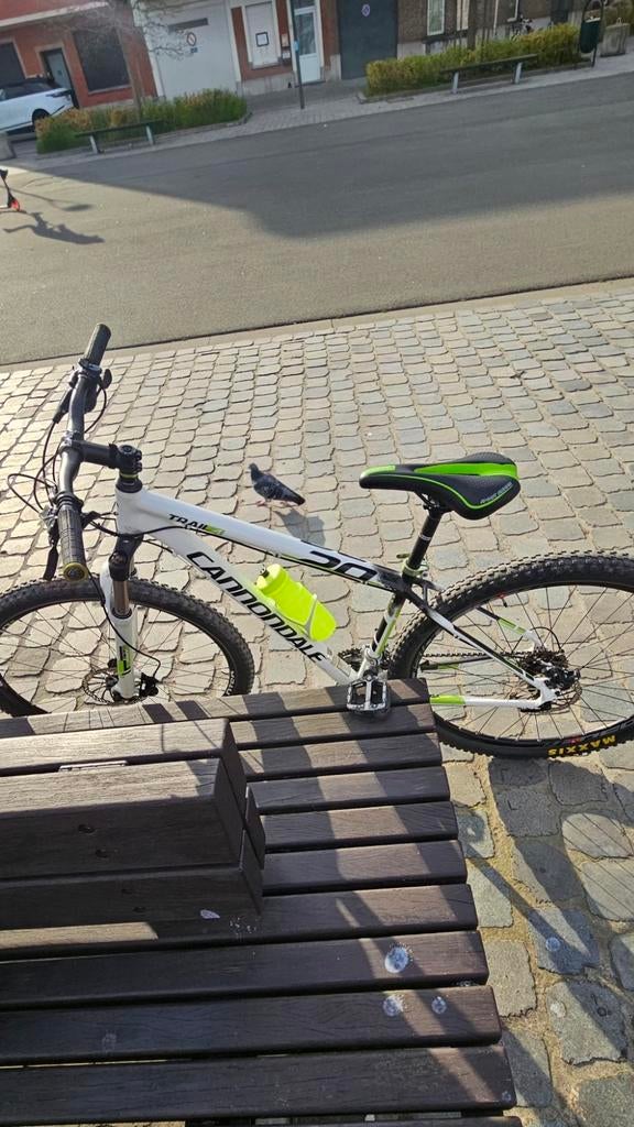 Vtt cannondale Trail 4