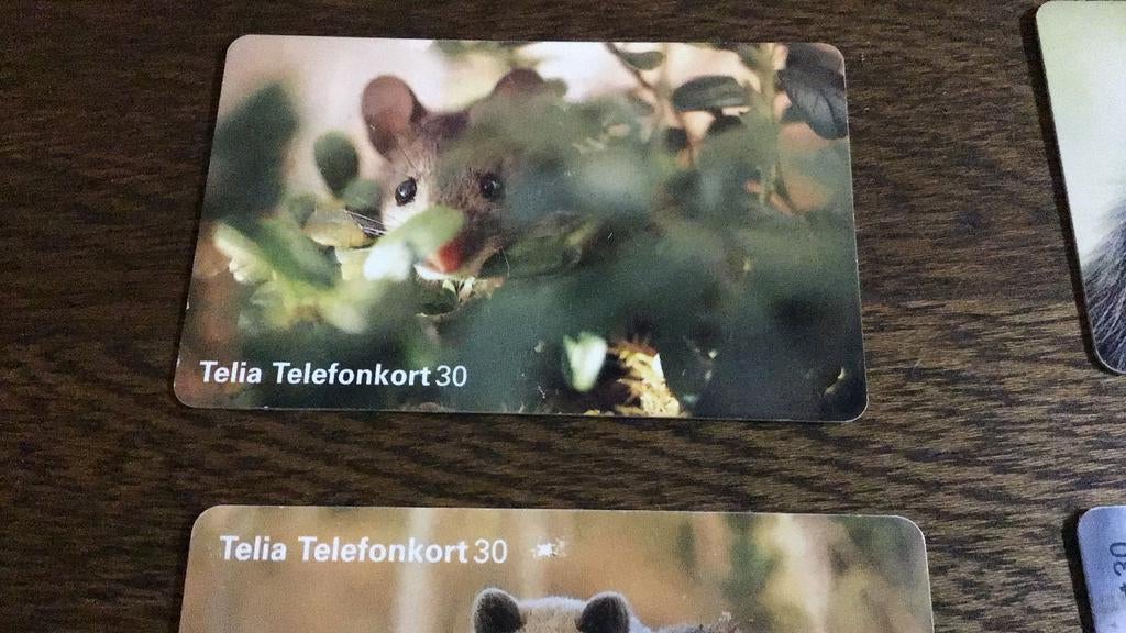 Zweedse telecard(f4), Collections, Enlèvement ou Envoi