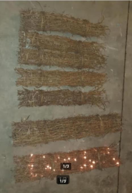 kerst licht takken, Ophalen, Gebruikt