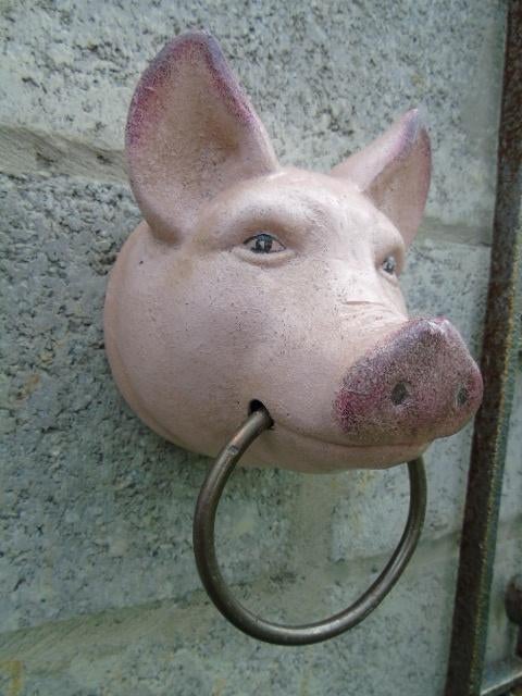 tête de cochon en fonte pat couleur porte serviettes, Enlèvement ou Envoi, Neuf