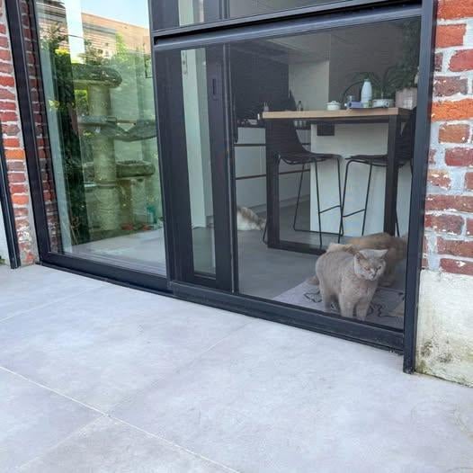 Plaatsers ramen en deuren rond Kortrijk gezocht, Doe-het-zelf en Bouw, Ophalen of Verzenden