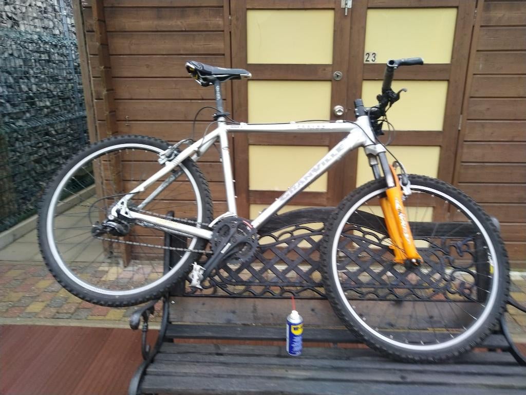 Vélo de montagne, Vélos & Vélomoteurs, Enlèvement, Utilisé, Hommes, Autres marques