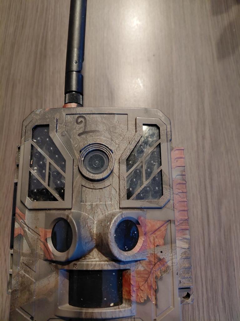 Wildcamera, Ophalen of Verzenden