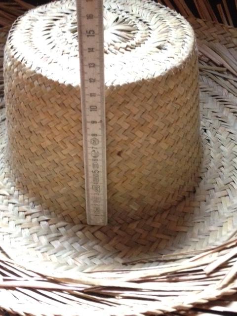 rieten hoed, Kleding | Dames, Hoeden en Petten, Ophalen, Nieuw, 55 cm (S, 6⅞ inch) of minder, Hoed