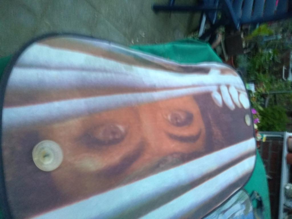 zonnebeschermers Autoruit, Ophalen of Verzenden