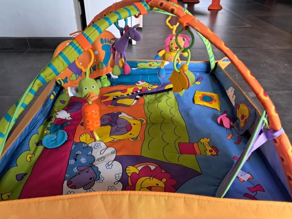 Tapis de jeux bébé, Enlèvement ou Envoi, Utilisé, Baby Gym
