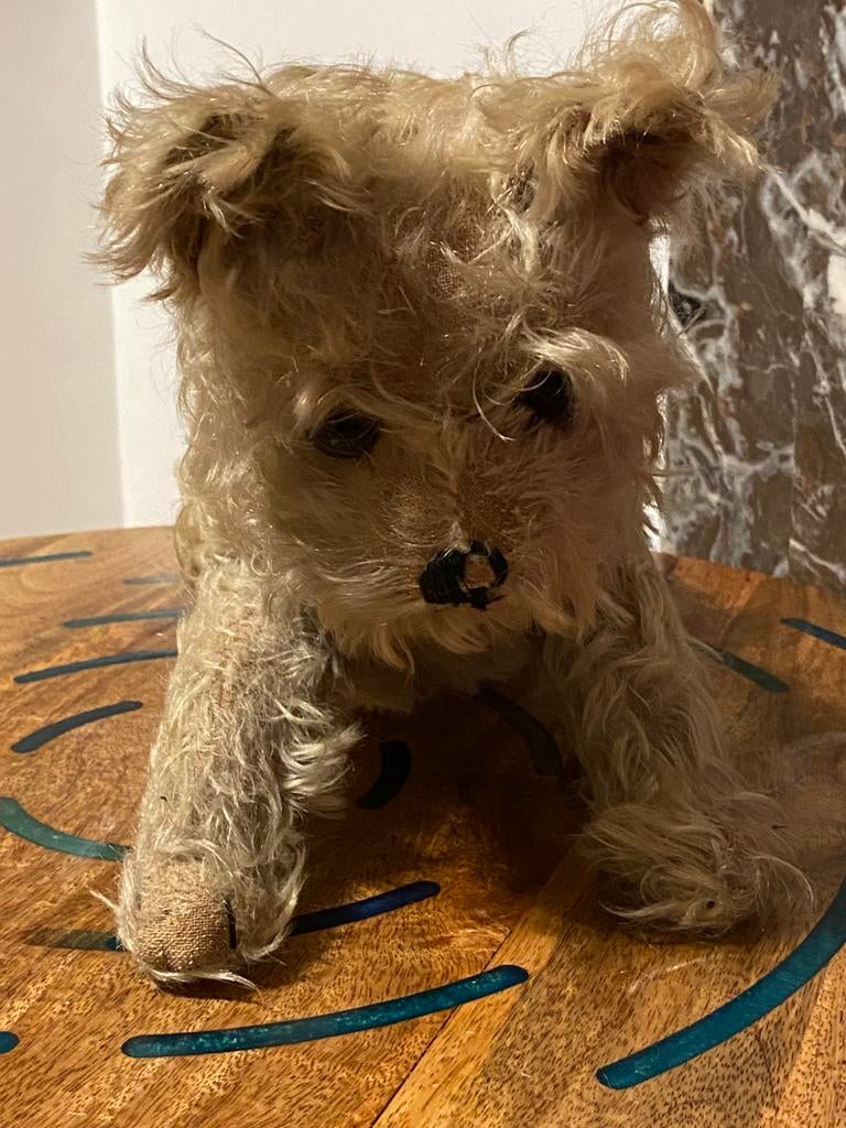 Steiff Pinscher seated dog, voor de oorlog, 40cm, Verzamelen, Beren en Cherished Teddies, Ophalen of Verzenden, Zo goed als nieuw