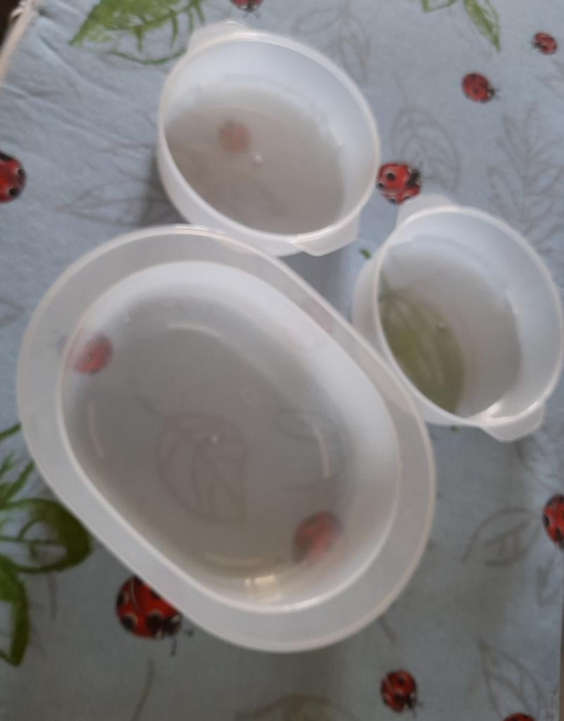 Set kleine schalen voor snelkookpan, Huis en Inrichting, Ophalen of Verzenden, Nieuw