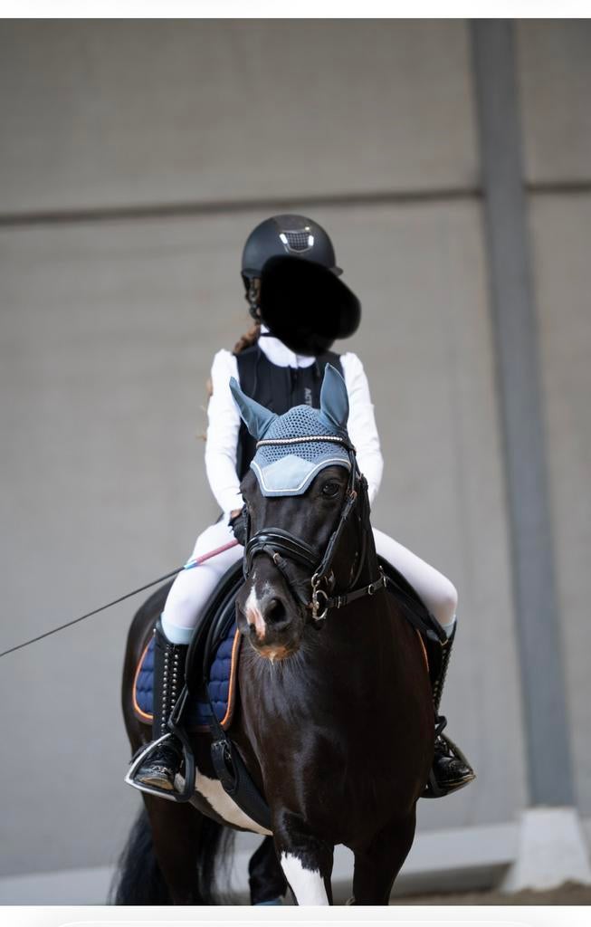 Leuke C-pony, Dieren en Toebehoren, Pony's, B