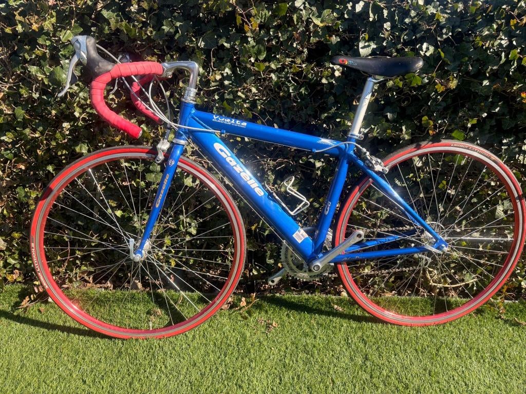 wielrenner Gazelle Vuelta dames (167cm), Ophalen