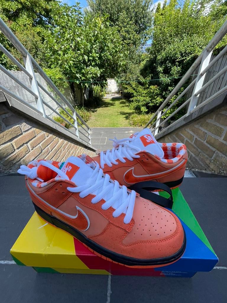 Nike Dunk SB Orange Lobster, Kleding | Heren, Schoenen, Ophalen of Verzenden, Nieuw, Sneakers
